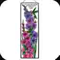 Art Panel-AP247R-Hummingbirds & Gladioluses/For we know that in all things? Rom 8:28.  - Hummingbirds & Gladioluses/For we know that in all things God works for the good of those who love him. Rom 8:28. 