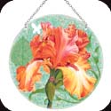 Suncatcher-LC288R-Orange Iris - Orange Iris