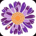 Metal Magnet-MM5002-Purple Gerbera Daisy - Purple Gerbera Daisy